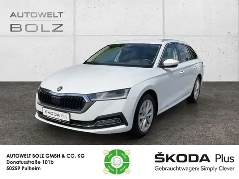 Annonce SKODA OCTAVIA Diesel 2023 d'occasion 