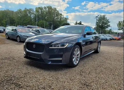 Annonce JAGUAR XE Diesel 2019 d'occasion Allemagne