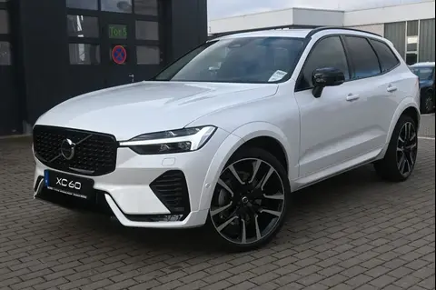 Annonce VOLVO XC60 Diesel 2023 d'occasion 