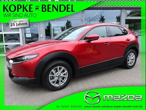 Used MAZDA CX-30 Hybrid 2021 Ad 