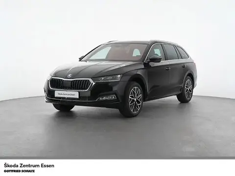 Annonce SKODA OCTAVIA Essence 2024 d'occasion 