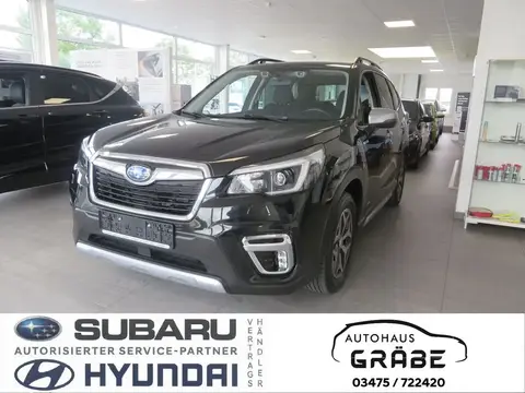 Used SUBARU FORESTER Petrol 2021 Ad 