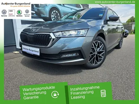 Used SKODA OCTAVIA Petrol 2024 Ad 