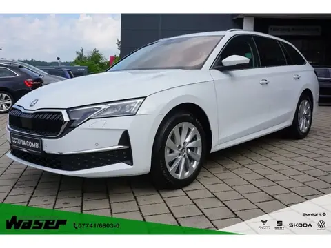 Used SKODA OCTAVIA Diesel 2024 Ad 