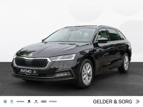 Used SKODA OCTAVIA Diesel 2023 Ad 