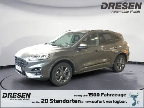 Used FORD KUGA Hybrid 2023 Ad 