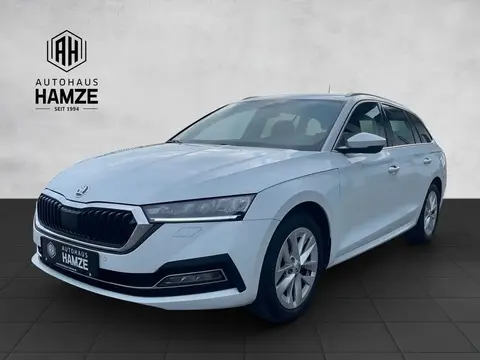 Annonce SKODA OCTAVIA Diesel 2021 d'occasion 