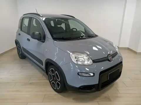 Annonce FIAT PANDA Hybride 2022 d'occasion 