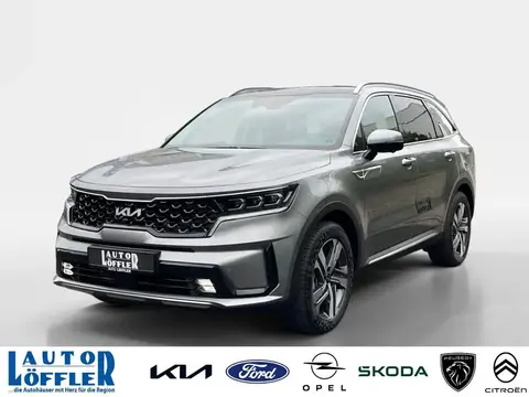 Annonce KIA SORENTO Hybride 2024 d'occasion 