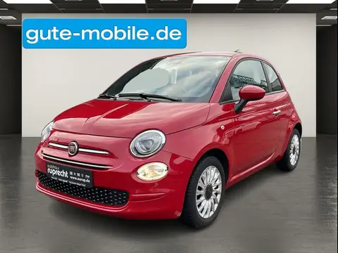 Used FIAT 500 Petrol 2021 Ad 