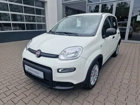 Annonce FIAT PANDA Hybride 2024 d'occasion 