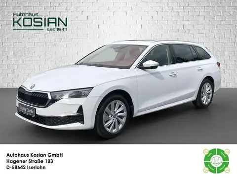 Annonce SKODA OCTAVIA Diesel 2024 d'occasion 