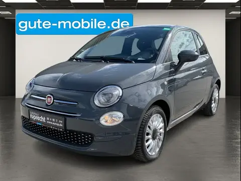 Used FIAT 500 Petrol 2021 Ad 