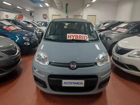 Used FIAT PANDA Hybrid 2020 Ad Italy