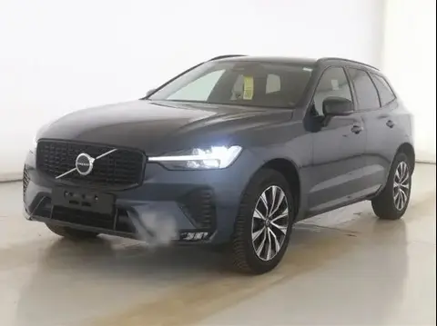 Annonce VOLVO XC60 Diesel 2023 d'occasion 