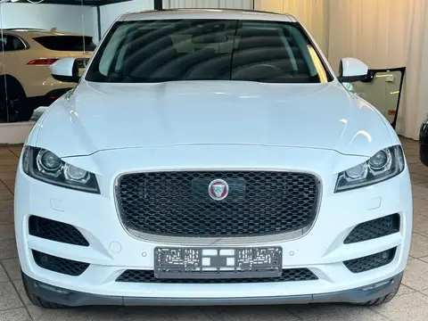 Used JAGUAR F-PACE Diesel 2016 Ad 