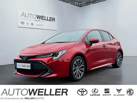 Annonce TOYOTA COROLLA Hybride 2019 d'occasion 