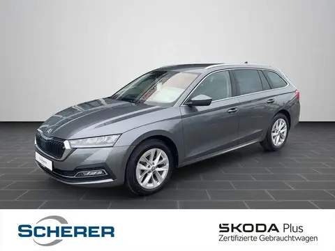 Used SKODA OCTAVIA Diesel 2023 Ad 