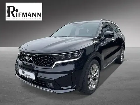 Annonce KIA SORENTO Diesel 2024 d'occasion Allemagne