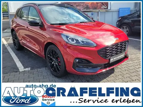 Used FORD KUGA Petrol 2024 Ad 