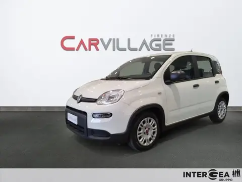 Annonce FIAT PANDA Hybride 2022 d'occasion 