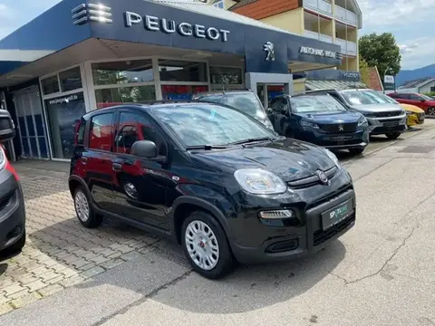 Used FIAT PANDA Petrol 2024 Ad 