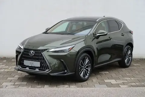 Used LEXUS NX Hybrid 2023 Ad 