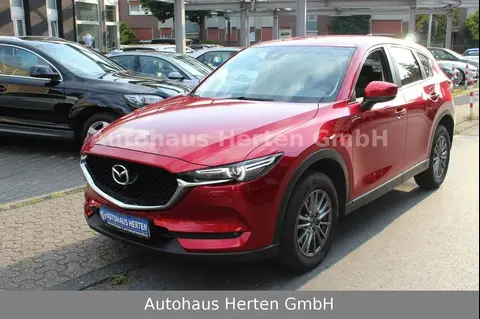 Annonce MAZDA CX-5 Diesel 2019 d'occasion Allemagne