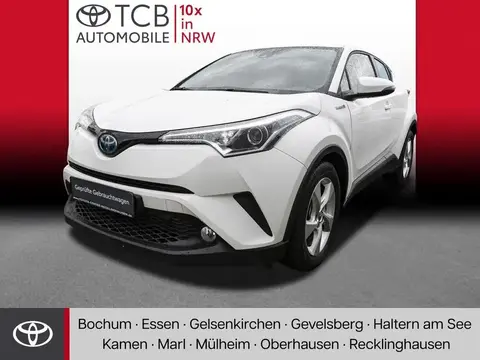 Used TOYOTA C-HR Hybrid 2019 Ad 