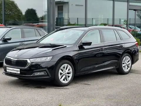 Annonce SKODA OCTAVIA Essence 2023 d'occasion 