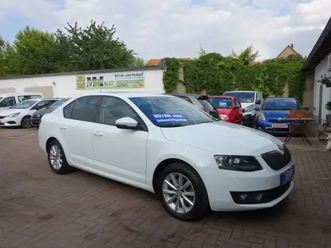 Annonce SKODA OCTAVIA Diesel 2016 d'occasion 