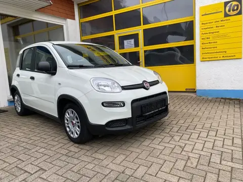 Annonce FIAT PANDA Hybride 2022 d'occasion 