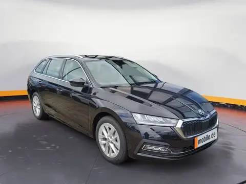 Annonce SKODA OCTAVIA Diesel 2024 d'occasion 