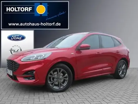 Annonce FORD KUGA Diesel 2022 d'occasion 