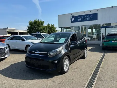 Used KIA PICANTO Petrol 2024 Ad 