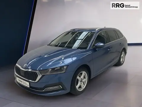 Annonce SKODA OCTAVIA Diesel 2020 d'occasion 