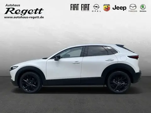 Annonce MAZDA CX-30 Essence 2024 d'occasion 