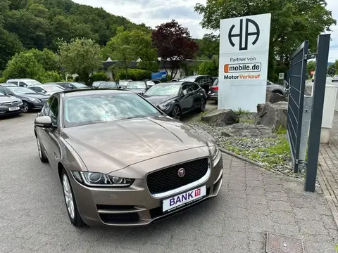 Used JAGUAR XE Diesel 2015 Ad 