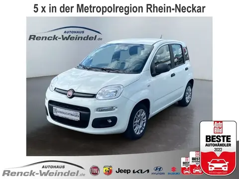 Used FIAT PANDA Petrol 2019 Ad 