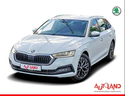 Annonce SKODA OCTAVIA Essence 2024 d'occasion 