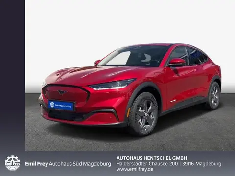 Annonce FORD MUSTANG Non renseigné 2023 d'occasion Allemagne