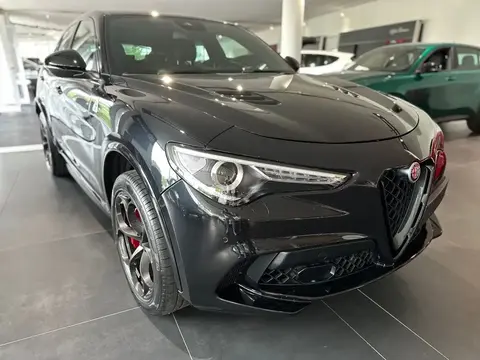 Annonce ALFA ROMEO STELVIO Essence 2024 d'occasion 