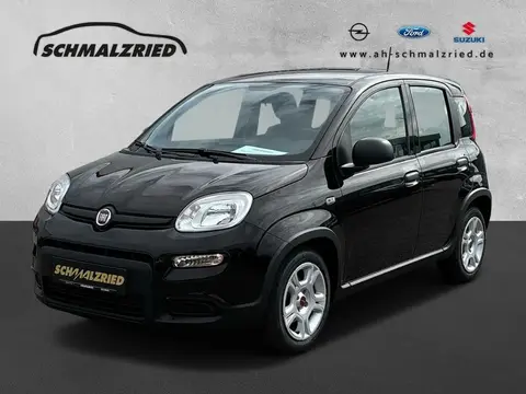 Used FIAT PANDA Hybrid 2024 Ad 