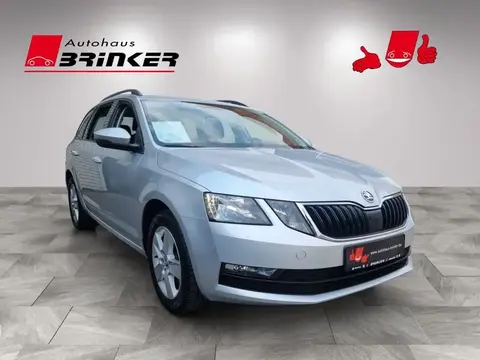 Annonce SKODA OCTAVIA  2019 d'occasion 