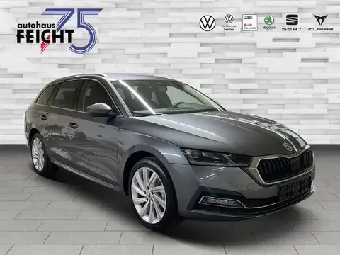 Used SKODA OCTAVIA Diesel 2023 Ad 