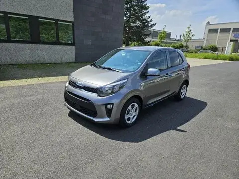 Annonce KIA PICANTO Essence 2024 d'occasion 