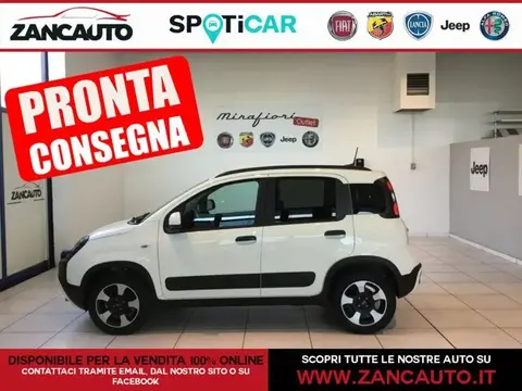 Used FIAT PANDA Hybrid 2023 Ad 