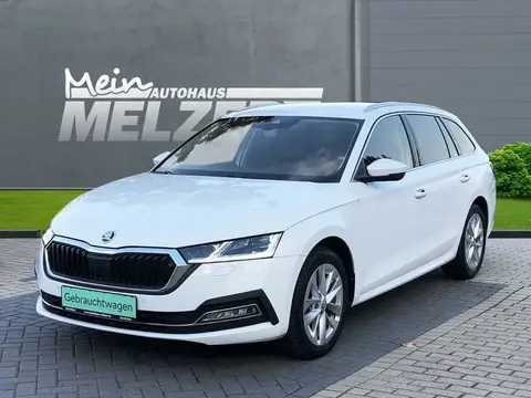 Annonce SKODA OCTAVIA Diesel 2023 d'occasion 