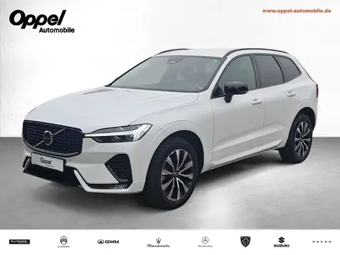 Annonce VOLVO XC60 Diesel 2023 d'occasion 