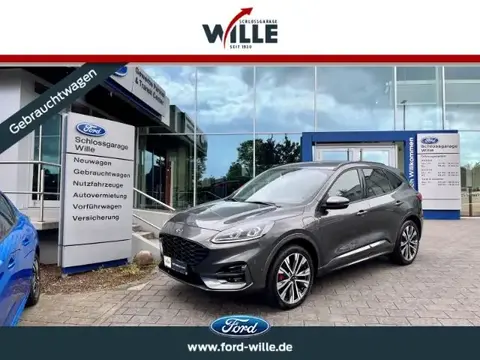 Used FORD KUGA Hybrid 2023 Ad 